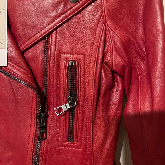 Leather jacket - Picture 4 of 5